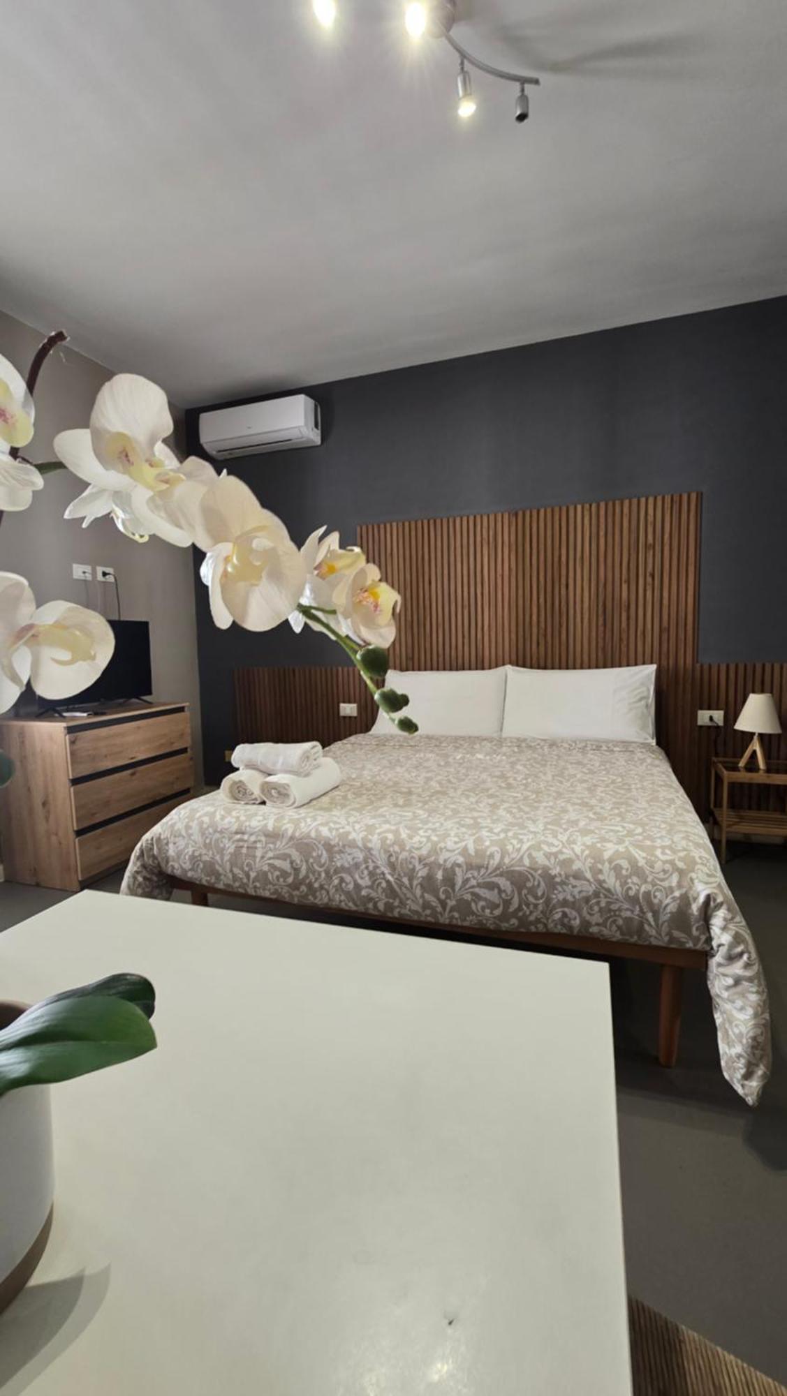 House Orlando Hotel สเฟอร์ราคาวาลโล ภายนอก รูปภาพ